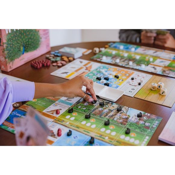 Wingspan Asia | Third Expansion to the Strategic Family Board Game - Picture 4 of 5